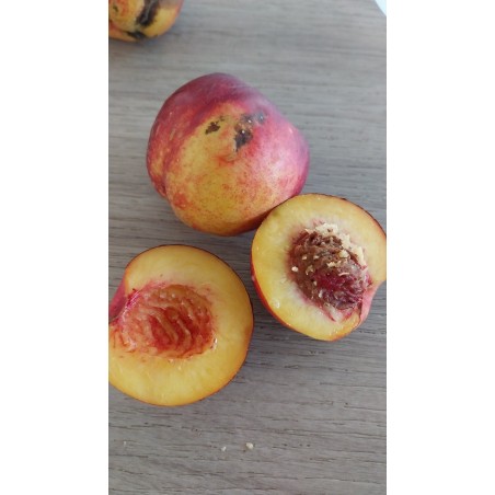 Nectarine Nectared, chair jaune douce et fondante | La Hunelle