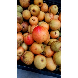 Nashi Reddy Robin, la poire asiatique rouge | La Hunelle