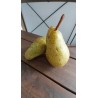 Poirier Triomphe de Vienne, grosse poire fondante | La Hunelle