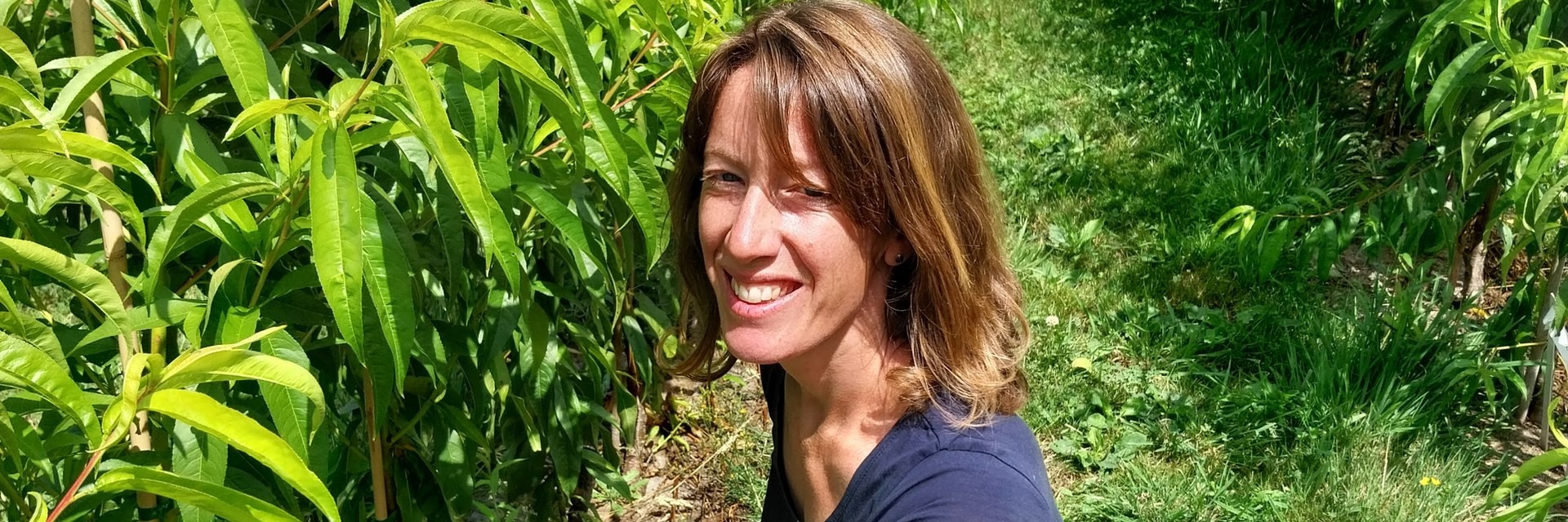 Marie dans ses rangs de pêchers, Pépinières de la Hunelle